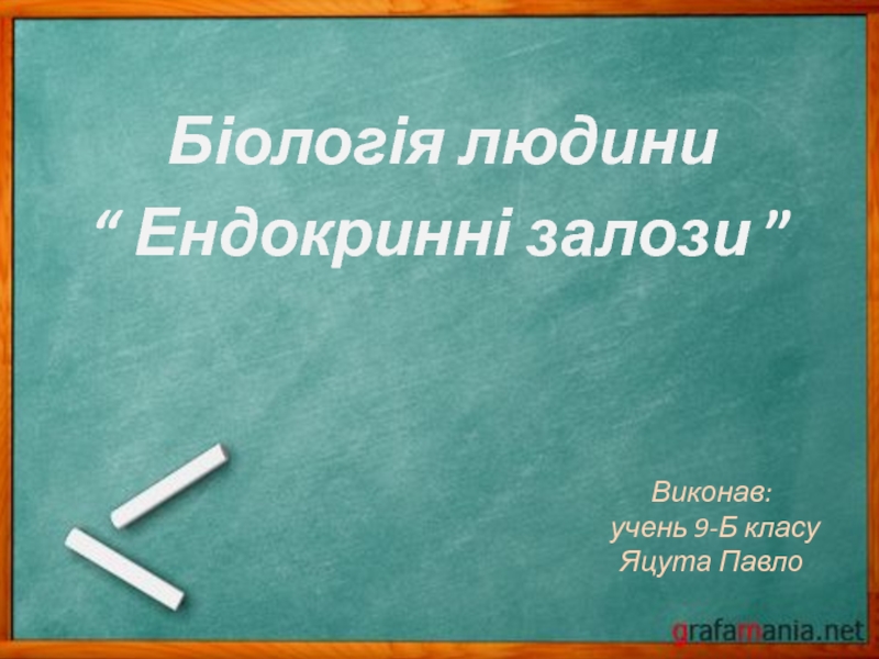 Презентация Виконав: учень 9-Б класу Яцута Павло