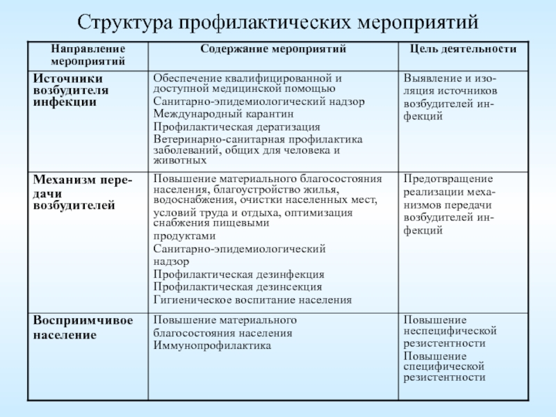 План мероприятия структура