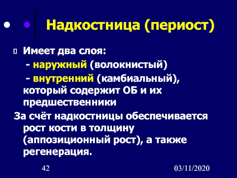 Аппозиционный рост хряща. Аппозиционный рост кости. Интерстициальный и аппозиционный рост хряща. Аппозиционный рост хряща обеспечивается.