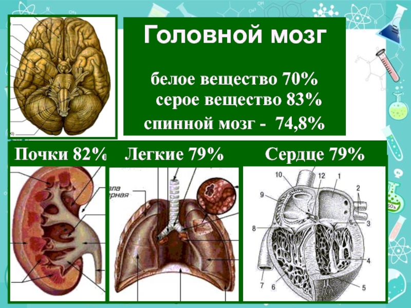 Сера мозга. Серое и белое вещество головного мозга. Серое вещество химия. Серое или белое вещество мозга. Черное и белое вещество содержится.