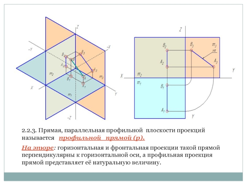 Изображение в подобном и уменьшенном виде проекции местности на горизонтальную плоскость называется