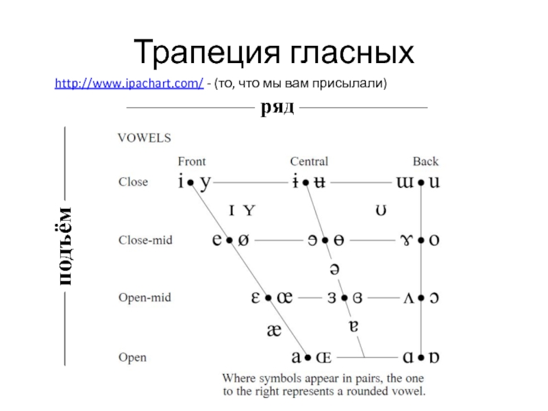 Гласные неверхнего подъема. Трапеция гласных. Трапеция гласных английского языка. Передний ряд гласных.