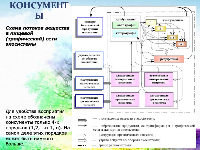 Квартира как экосистема проект