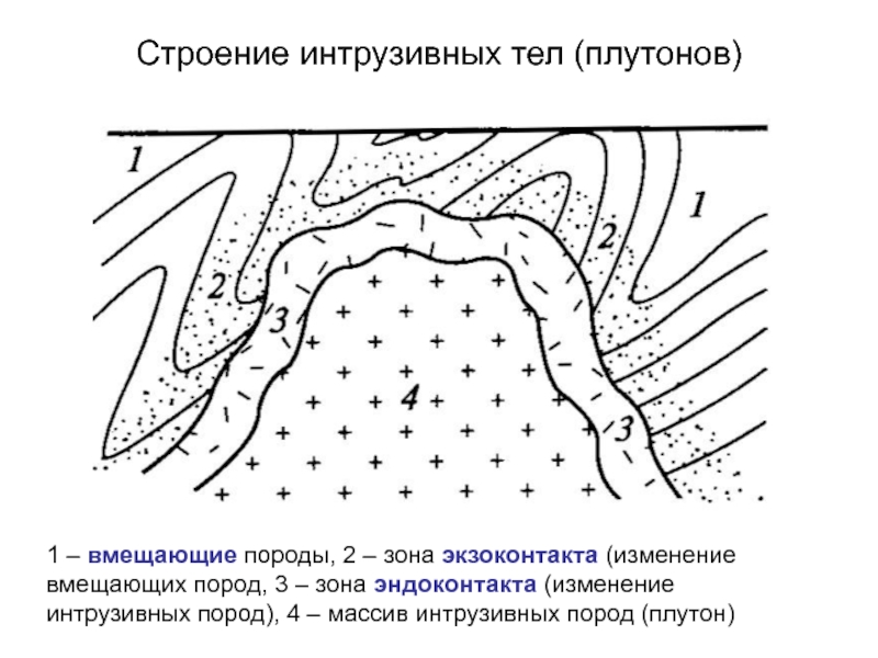 Какой цифрой на схеме формы глубинных тел образованных магматическими породами обозначен лакколит