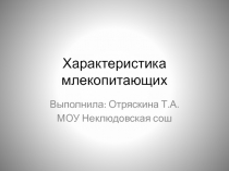 Характеристика млекопитающих