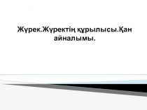 Ж ү ре к.Жүректің құрылысы.Қан айналымы