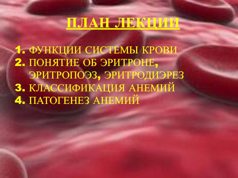 Эритрон. Эритродиерез. Понятие о системе крови. Понятие об эритроне. Эритрон патофизиология.