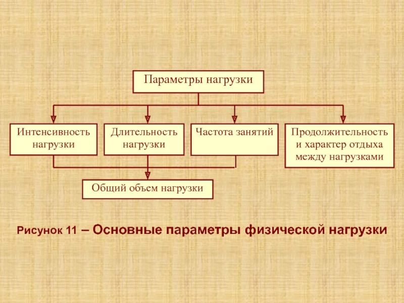 Лекция 5К Рисунок 11 – Основные параметры физической нагрузки Рисунок 11 – Основные параметры физической нагрузки