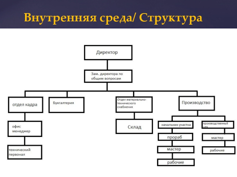 Внутренняя структура собственности - Basanova.ru