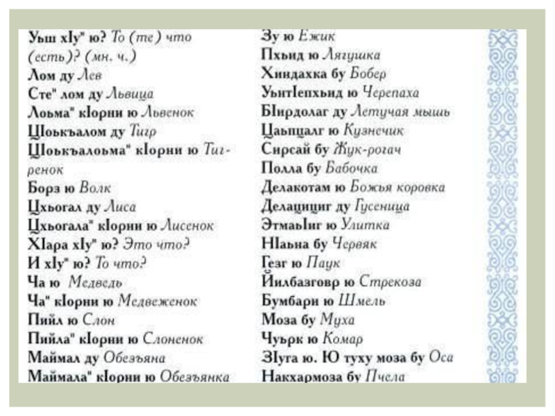 Перевод слова обозначает. Чеченские слова. Чеченский язык. Текст на чеченском языке. Выражения на чеченском языке.