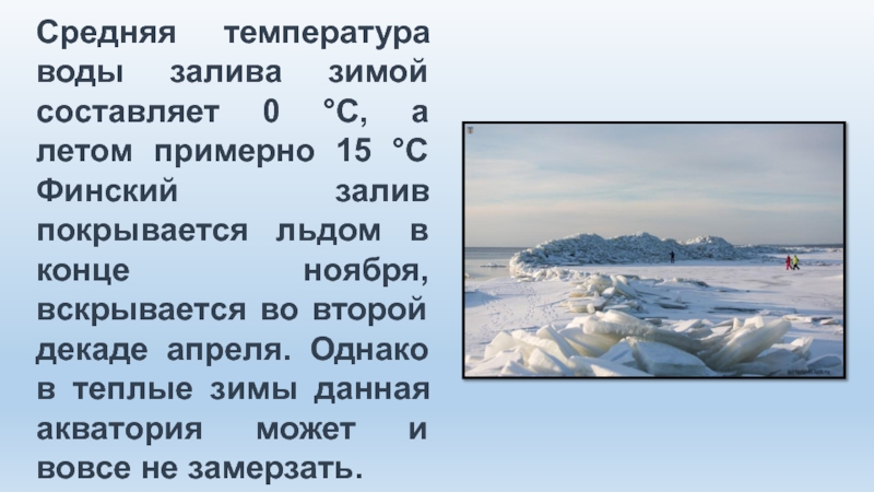 Какое море теплее. Финский залив средняя температура. Финский залив температура воды летом. Температруаводы зимой. Температура воды в финском заливе по месяцам.