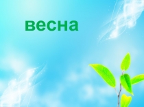 весна