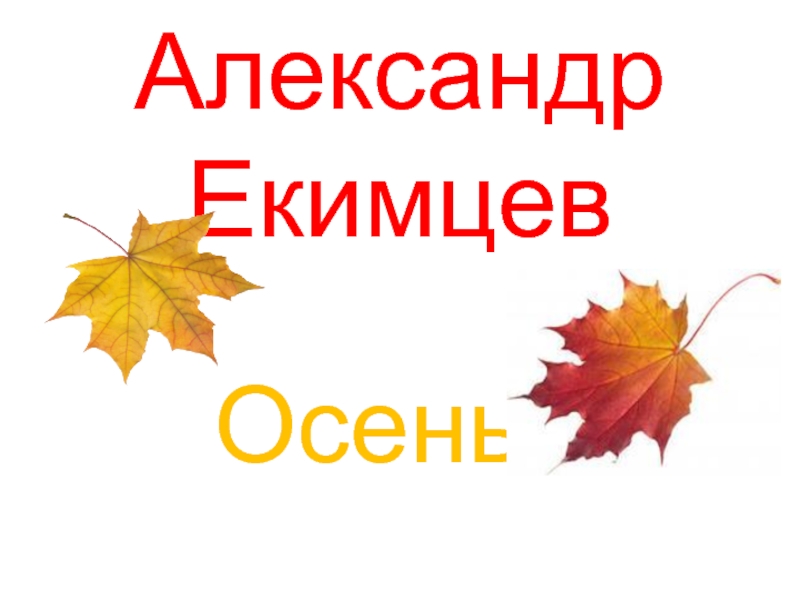 Презентация Александр Екимцев — Осень