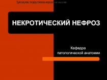 НЕКРОТИЧЕСКИЙ НЕФРОЗ