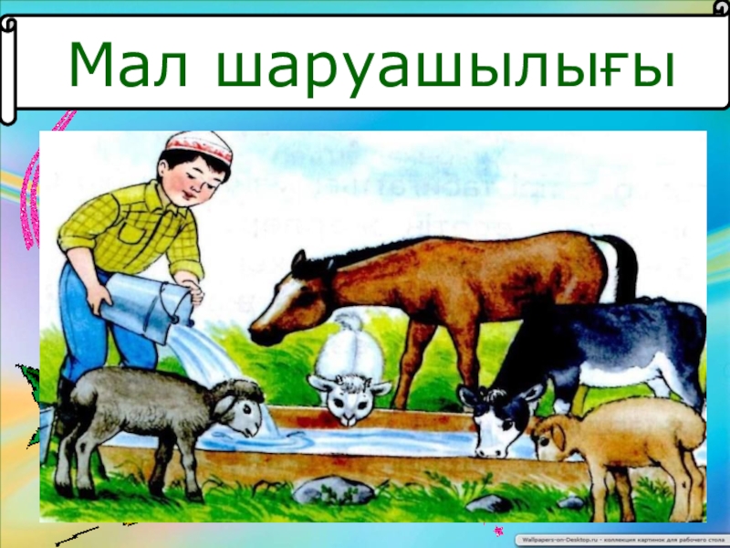 Что такое мал. Мал. Мал мал мал. Мал адам. Фердус де мал.