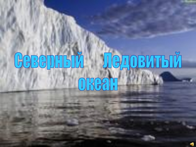 Презентация Северный Ледовитый
океан
