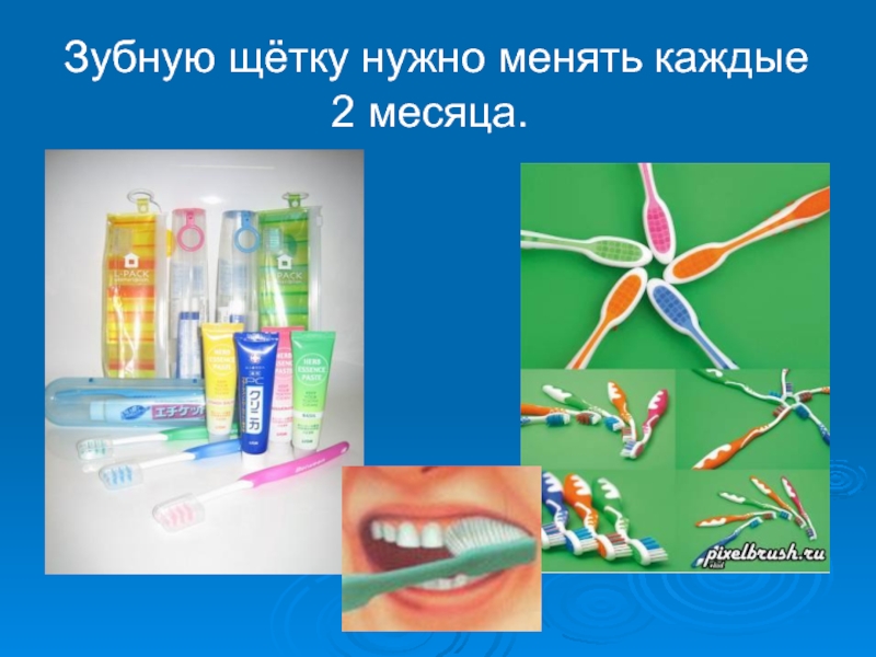Зубную щётку нужно менять каждые 2 месяца.