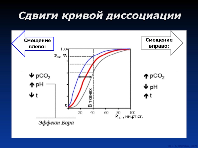 Кривая смещения. Смещение Кривой диссоциации оксигемоглобина влево. Смещение Кривой диссоциации оксигемоглобина вправо. Сдвиг Кривой диссоциации. Сдвиг Кривой диссоциации оксигемоглобина вправо.