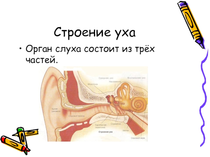 Берегите слух картинки