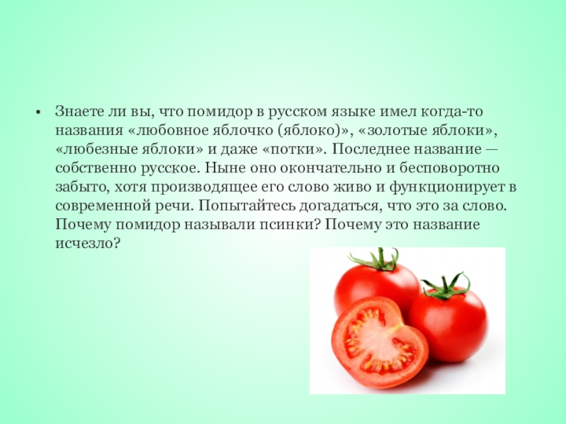Знаете ли вы, что помидор в русском языке имел когда-то названия «любовное яблочко (яблоко)», «золотые яблоки», «любезные