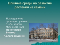 Влияние среды на развитие растения из семени