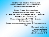 МІНІСТЕРСТВО ОСВІТИ І НАУКИ УКРАЇНИ
ЧЕРКАСЬКИЙ НАЦІОНАЛЬНИЙ УНІВЕРСИТЕТ
ІМЕНІ