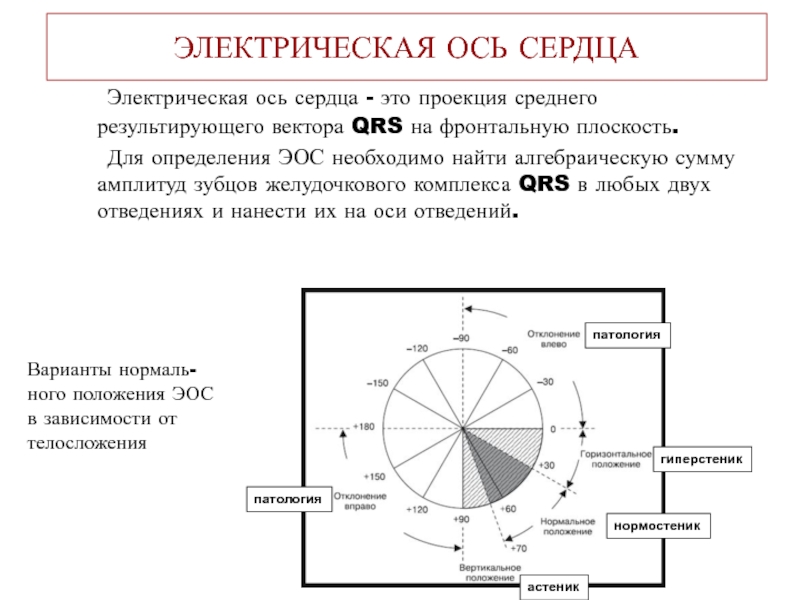 Положение оси сердца