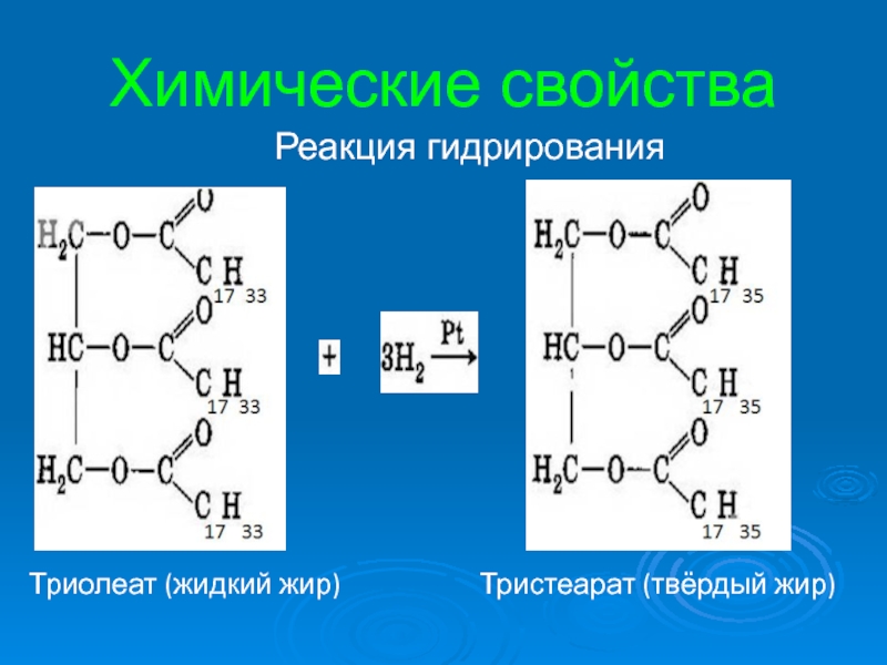 Триолеат глицерина вступает в реакцию. Химические свойства жиров гидрирование. Химические свойства жиров гидрирование жидких жиров. Гидрирование триолиатаглицерина. Тристеарат.