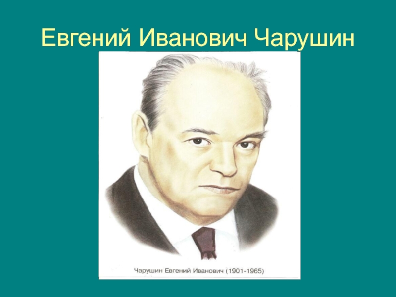 Е чарушин. Чарушин портрет. Е Чарушин портрет для детей. Чарушин портрет для детей. Евгений Чарушин портрет для детей.