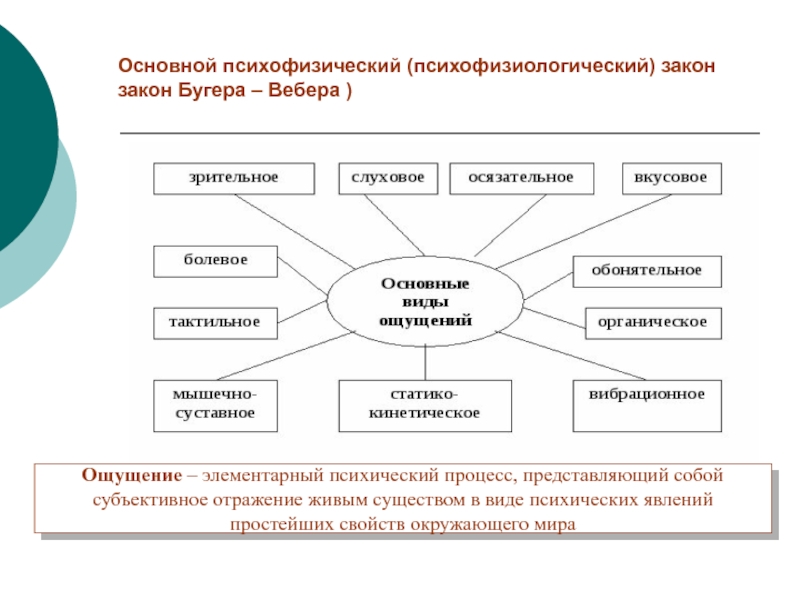 Автор основного. Основные психофизические законы. Основной психофизический закон. Обобщенный психофизический закон ю.м Забродина. Основной психофизический закон. Основные закономерности ощущений..