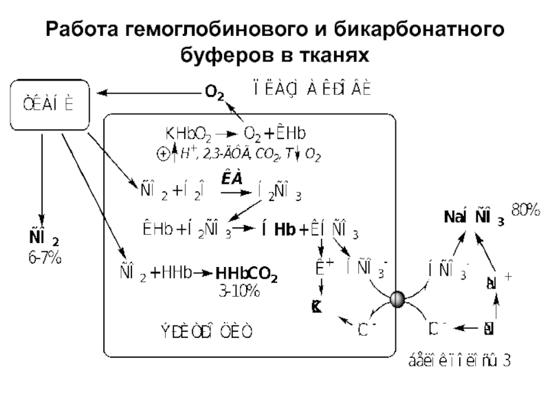 Бикарбонатный буфер схема