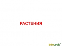 Растения