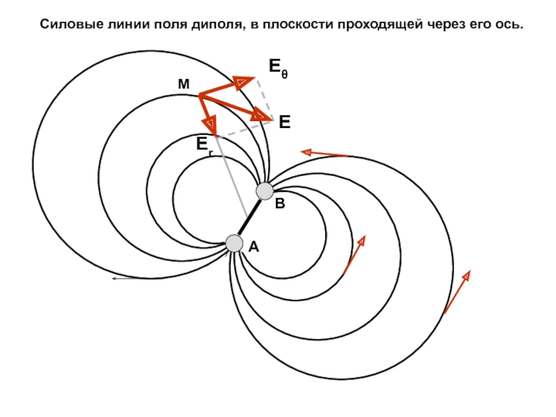 Картина силовых линий диполя