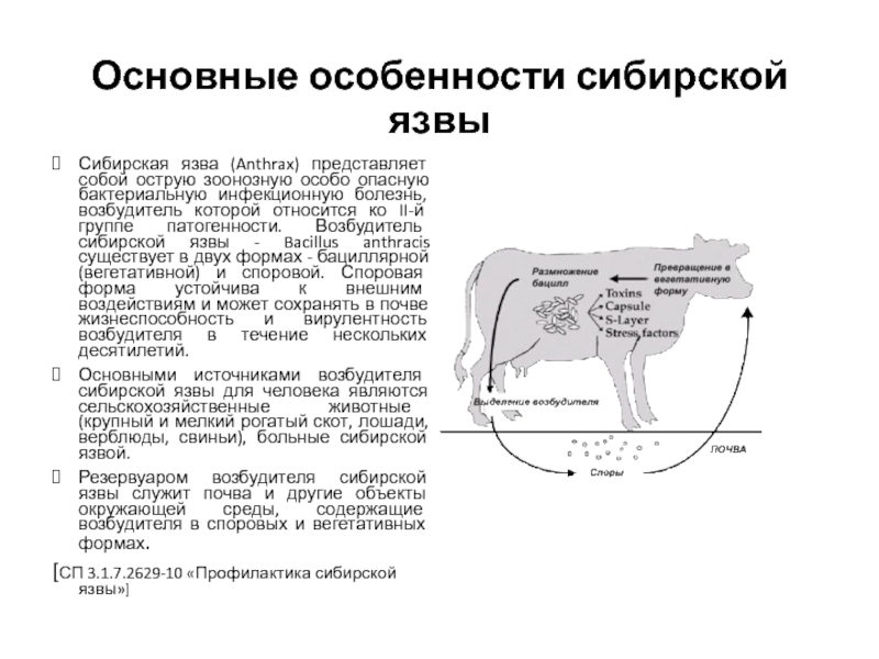 Инфекционные болезни резервуаром возбудителя которых является животные