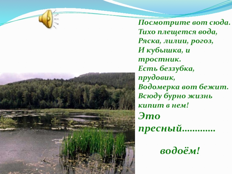 Жизнь в пресных водах 4 класс презентация. Жизнь в пресной воде. Жизнь в пресных Водах доклад. Презентация на тему жизнь в пресных Водах. Конспект жизнь в пресных Водах.