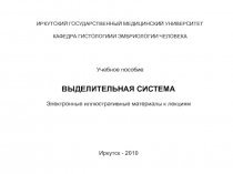 ИРКУТСКИЙ ГОСУДАРСТВЕННЫЙ МЕДИЦИНСКИЙ УНИВЕРСИТЕТ
КАФЕДРА ГИСТОЛОГИИИ