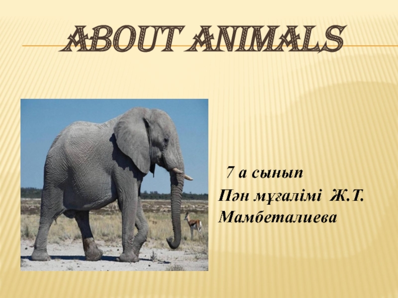 Презентация About Animals
