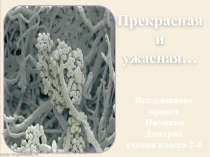 Прекрасная и  ужасная… 2-4 класс