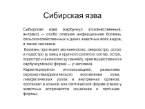 сибирская язва 