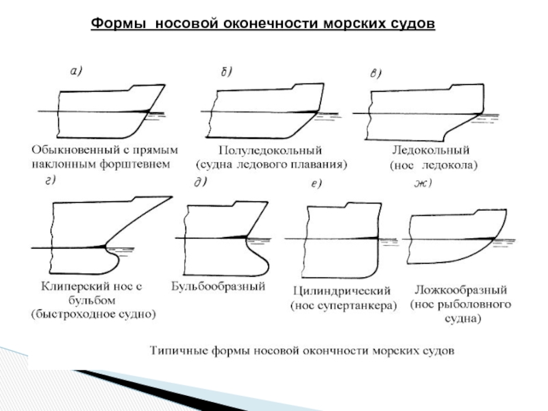 Правая и левая оконечность строя