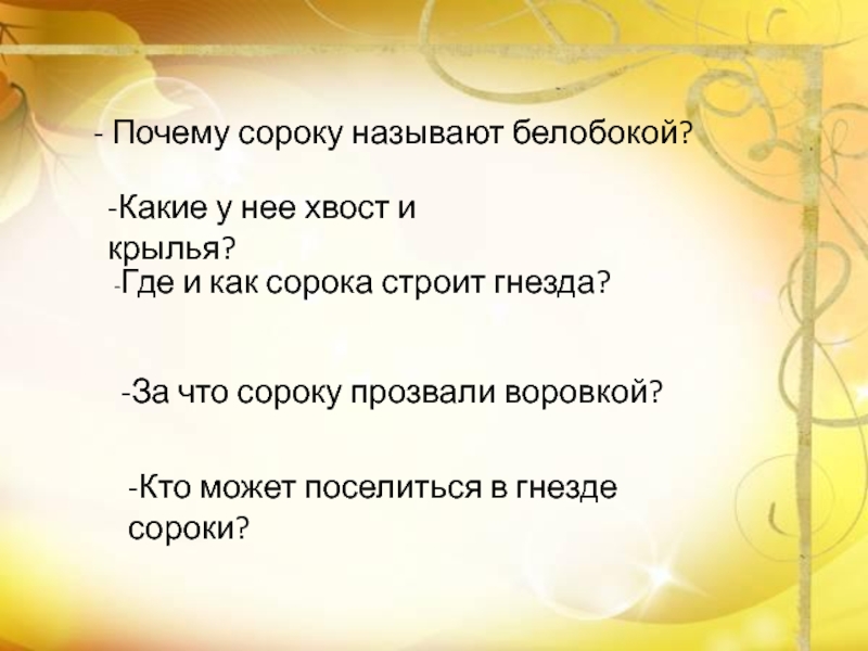 Почему сорок. Почему сороку называют белобокой. Почему сороку в народе называют «воровкой»?. Почему назвали сорока. Почему сороку назвали сорокой белобокой?.