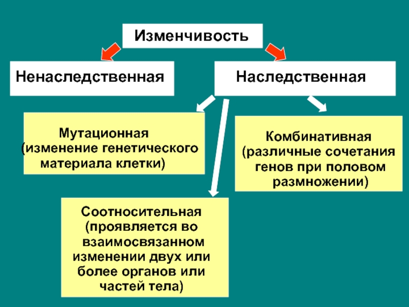 Изменчивость это