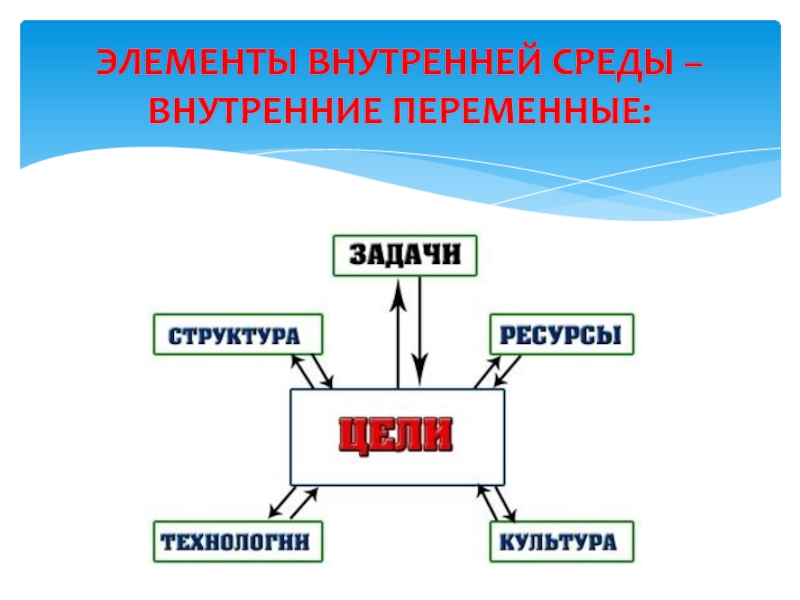 Внутри элементы. Элементы внутренней среды. Внутренняя среда и ее элементы. Компоненты внутренней среды предприятия. Переменные внутренней среды организации.