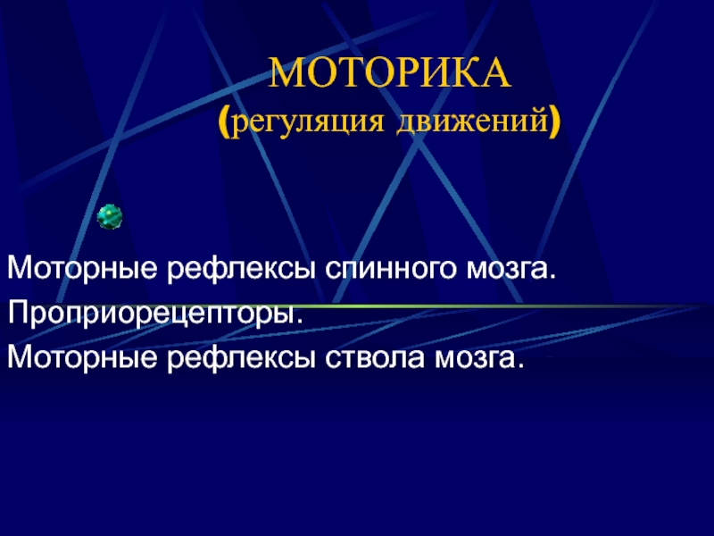 Презентация МОТОРИКА (регуляция движений)