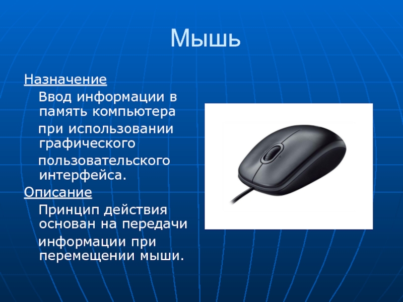 Рисунок мышь информатика 7 класс