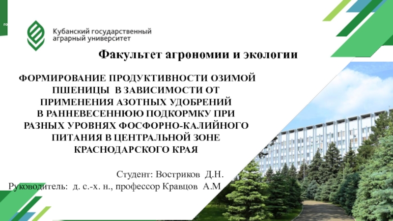 ФОРМИРОВАНИЕ ПРОДУКТИВНОСТИ ОЗИМОЙ ПШЕНИЦЫ В ЗАВИСИМОСТИ ОТ ПРИМЕНЕНИЯ АЗОТНЫХ