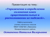 Определение склонения имен существительных