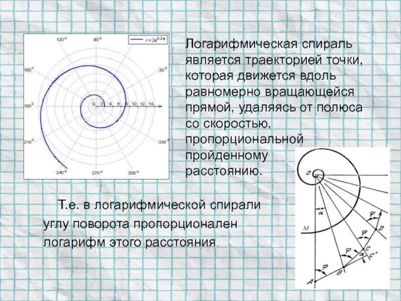 Логарифмическая спираль проект