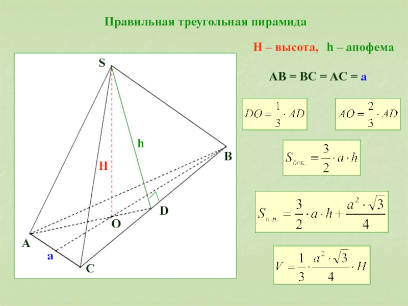 Правильная треугольная пирамида картинка