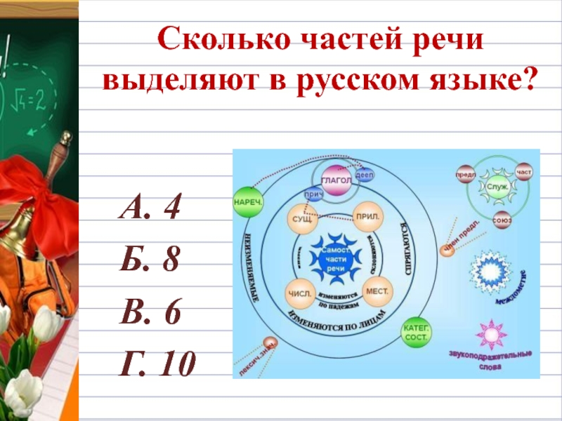 Живое сколько частей